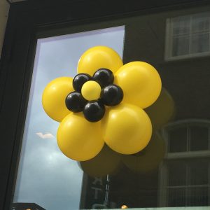 6. Ballonnenbloemen